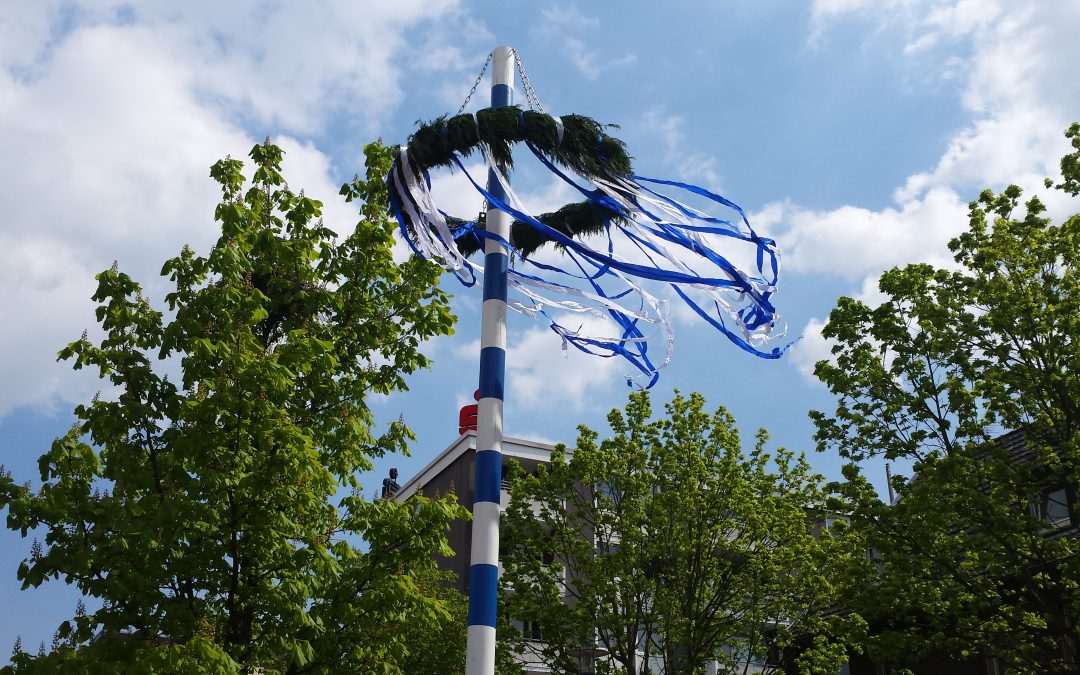 „Der Maibaum wird bereits seit  32 Jahren in Rosenhügel aufgebaut“