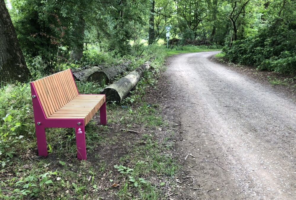 Warum in die Ferne schweifen? Das Gute liegt so nah.*)